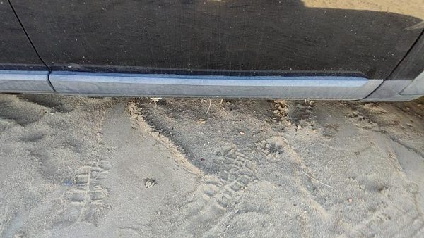2006 Land Rover LR3 Front Door Moulding RH Passenger Right From OEM Trim Strip — photo 2