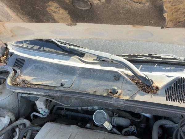 2005 Cadillac Deville Wiper Arm RH — photo 2