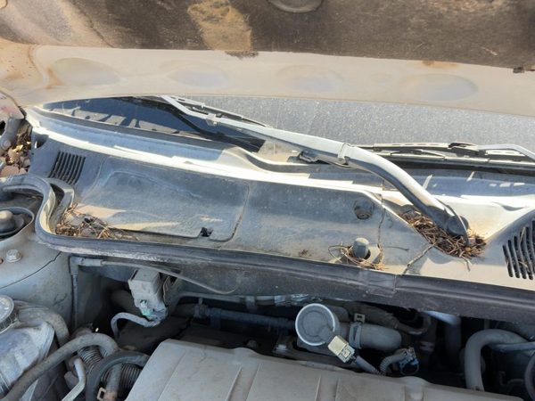 2005 Cadillac Deville Wiper Arm RH — photo 3