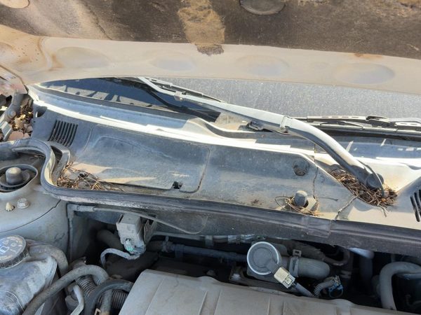 2005 Cadillac Deville Wiper Arm RH — photo 4