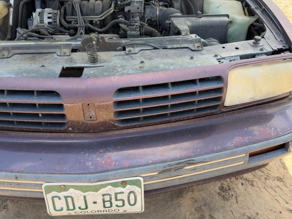 1994-1995 Olds Eighty Eight Front Grille Assembly Oem Maroon 25625255 — photo 5