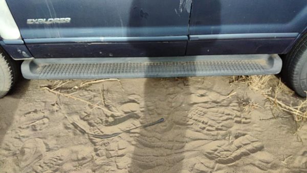 2002-2005 Ford Explorer Driver Left Running Board Side Step Oem 1L2z16451eb — photo 1
