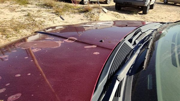 2006 Mitsubishi Galant Hood P06 Ultra Red Pearl Hail — photo 5