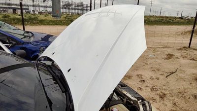2000 Ford Focus Hood White Yz