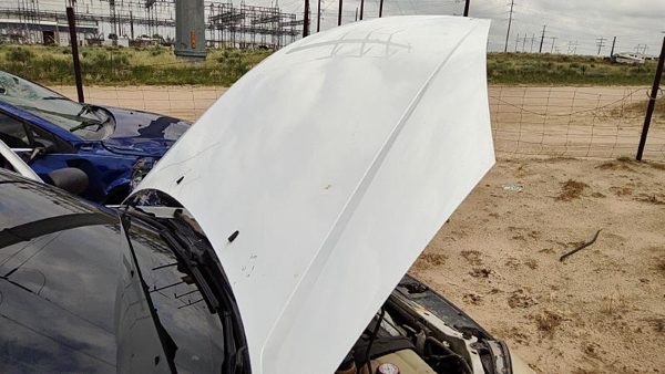 2000 Ford Focus Hood White Yz — photo 1
