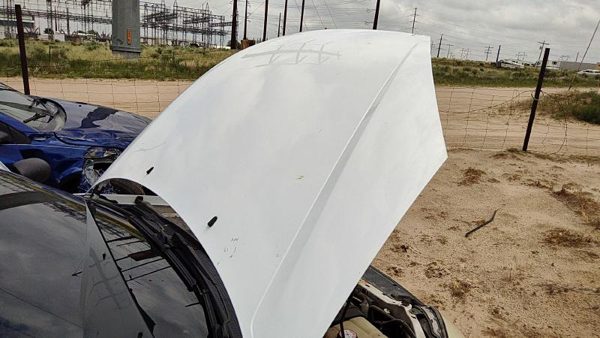 2000 Ford Focus Hood White Yz — photo 2