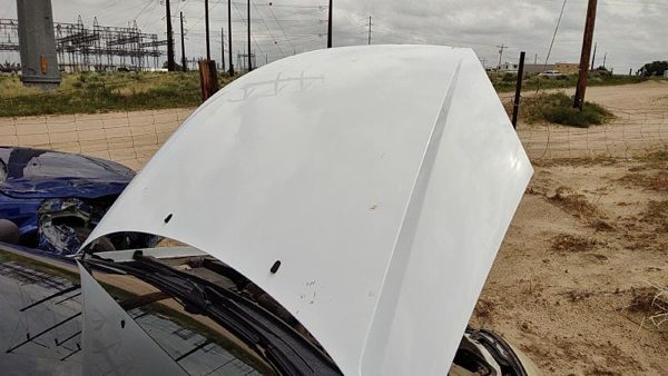 2000 Ford Focus Hood White Yz — photo 4