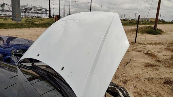 2000 Ford Focus Hood White Yz — photo 3