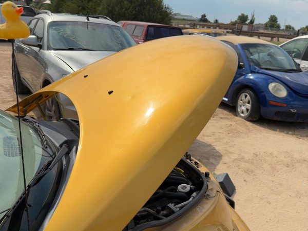 2002 Chrysler PT Cruiser Hood Inca Gold PY6 — photo 2
