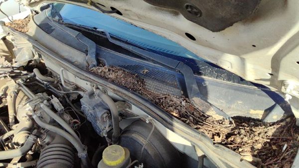 2000-2006 Nissan Sentra Driver Left Windshield Wiper Arm Oem Blade Lever Gxe — photo 2
