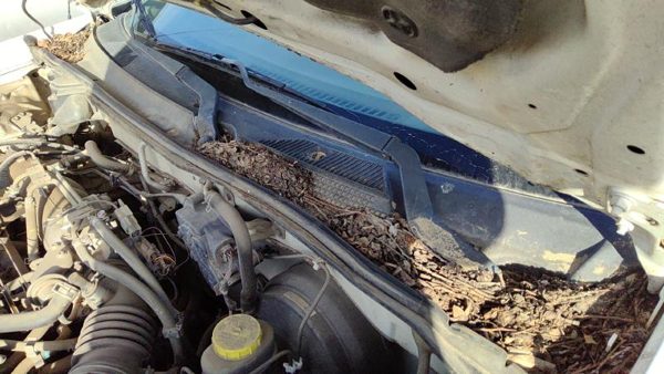 2000-2006 Nissan Sentra Driver Left Windshield Wiper Arm Oem Blade Lever Gxe — photo 3