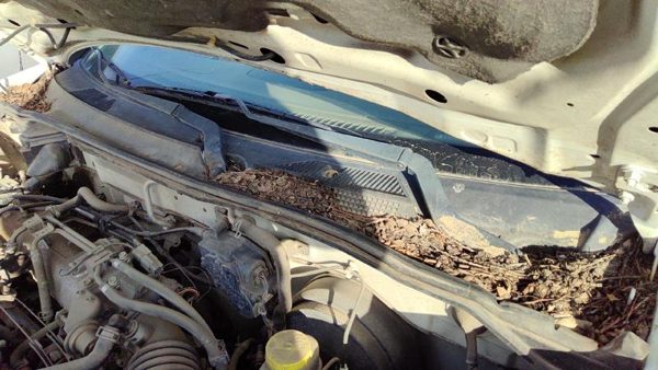 2000-2006 Nissan Sentra Driver Left Windshield Wiper Arm Oem Blade Lever Gxe — photo 1