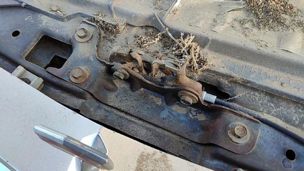 1978-1981 Chevy Malibu Hood Latch Assembly With Bracket Oem 4 Door — photo 3