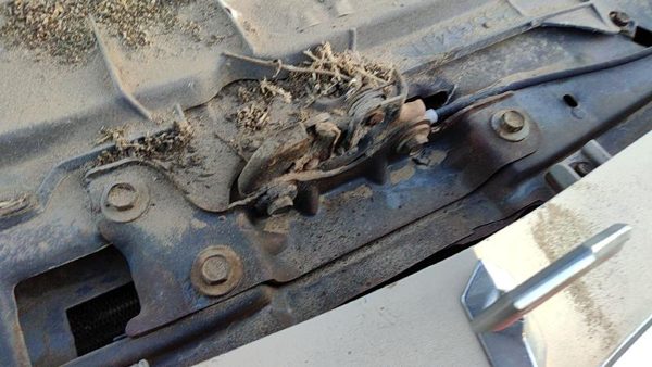 1978-1981 Chevy Malibu Hood Latch Assembly With Bracket Oem 4 Door — photo 2
