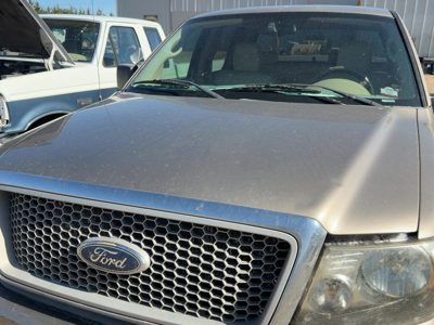 2004 Ford F-150 Hood Arizona Beige Aq
