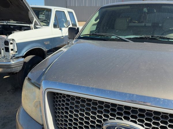 2004 Ford F-150 Hood Arizona Beige Aq — photo 2