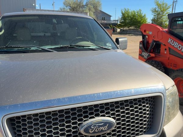 2004 Ford F-150 Hood Arizona Beige Aq — photo 3