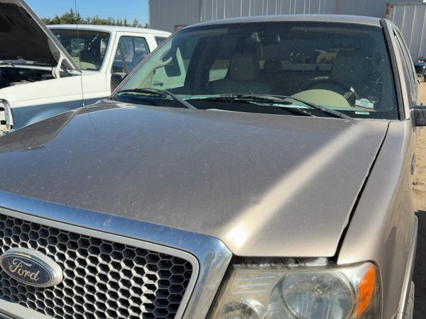 2004 Ford F-150 Hood Arizona Beige Aq — photo 4