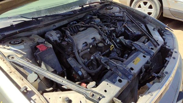 1999 Buick Century Trunk/decklid/hatch/tailgate Gold 49U — photo 2