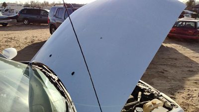 2002 Nissan Sentra Hood White QM1