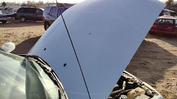 2002 Nissan Sentra Hood White QM1 — photo 1