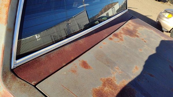 1980-1984 Deville Sedan Rear Panel Between Trunk And Back Glass Oem — photo 2