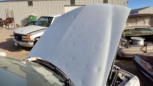 2000 Buick Regal Hood White 16U — photo 3