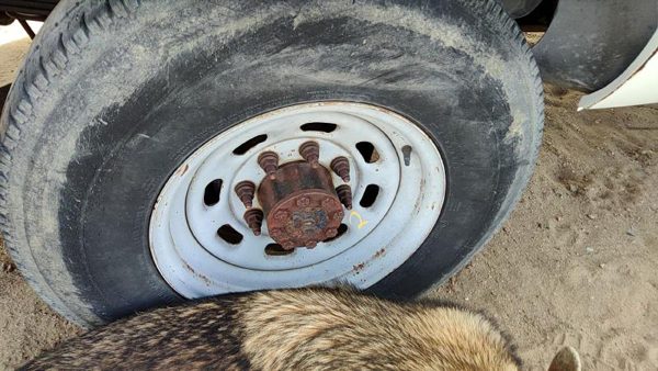 1999-2004 Ford F250 Super Duty 16' Steel Wheel Oem Factory Rim #2 F81Z1015Aa — photo 4