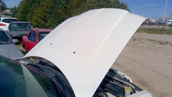 2010 Chrysler 300 Hood White Pwg Hailed — photo 5
