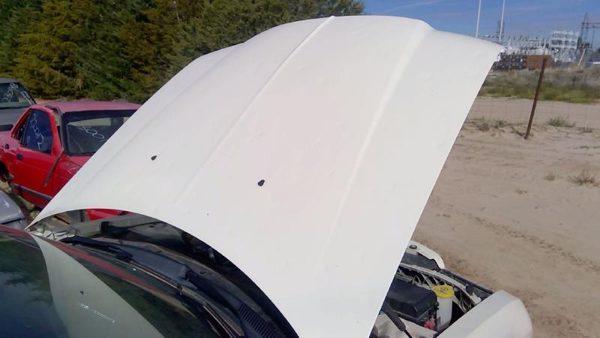 2010 Chrysler 300 Hood White Pwg Hailed — photo 6