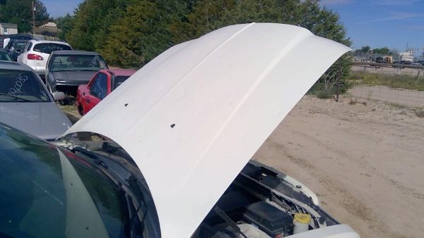 2010 Chrysler 300 Hood White Pwg Hailed — photo 2