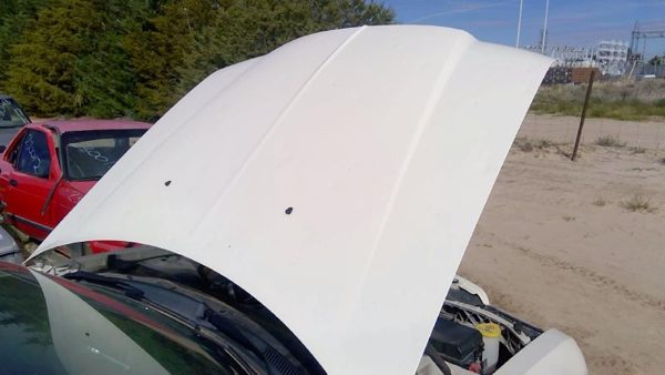 2010 Chrysler 300 Hood White Pwg Hailed — photo 7