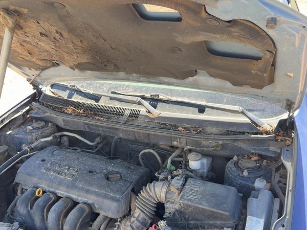 03-08 Matrix Xr Pair Of Hood Hinges Right Left Set Assembly Oem Indigo Ink Pearl — photo 2