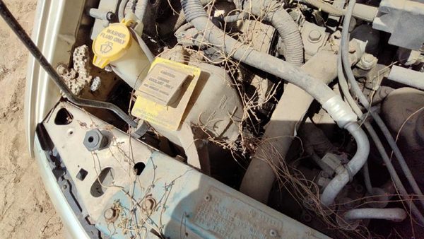 2000 Chrysler Town & Country Coolant Reservoir Radiator Overflow Tank Bottle Oem — photo 3