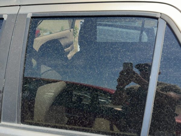 02-06 Honda Crv Driver Left Rear Side Window Door Glass Oem Back Privacy Tint — photo 1