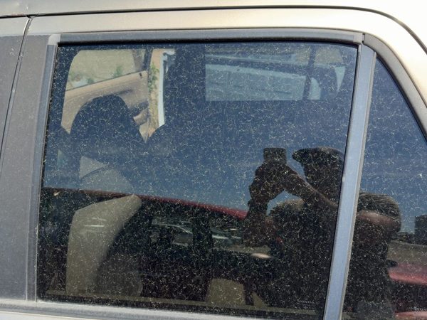 02-06 Honda Crv Driver Left Rear Side Window Door Glass Oem Back Privacy Tint — photo 3