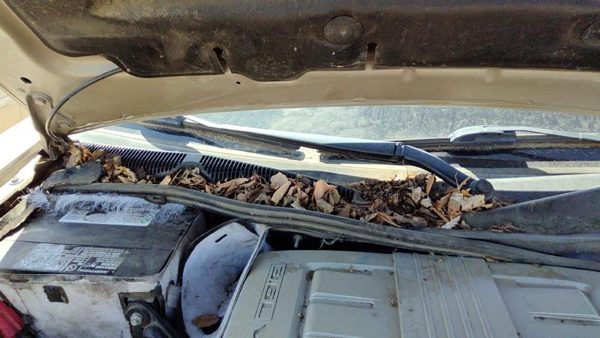 2003-2007 Cadillac Cts Passenger Right Windshield Wiper Arm Oem Blade Lever — photo 1