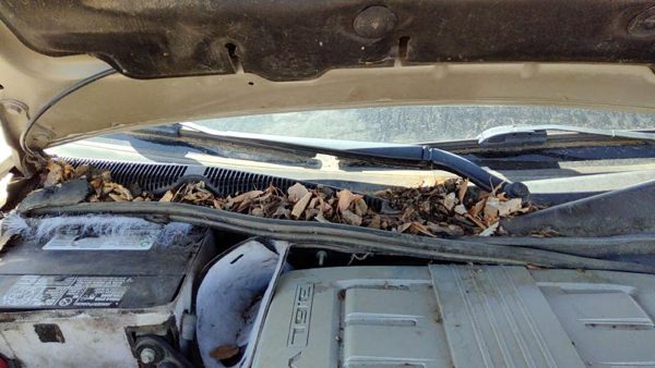 2003-2007 Cadillac Cts Passenger Right Windshield Wiper Arm Oem Blade Lever — photo 2