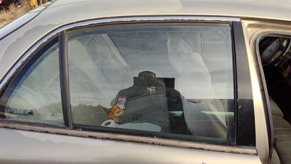 1997-2005 Buick Century Passenger Right Rear Side Window Door Glass Oem Back — photo 3