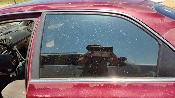 1994-1997 Honda Accord Driver Left Rear Side Window Door Glass Oem Back 4566386 — photo 5