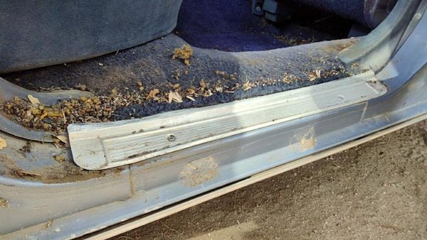1980-1984 Deville Sedan Sill Step Plate Set Of 4 Front Rear Left Right Oem — photo 4