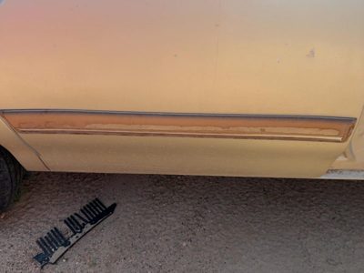 93-96 Century Passenger Right Rear Moulding From Door Oem Back 4 Door Sedan Gold