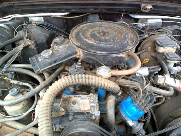 1981 Jeep Wagoneer — vehicle photo 2
