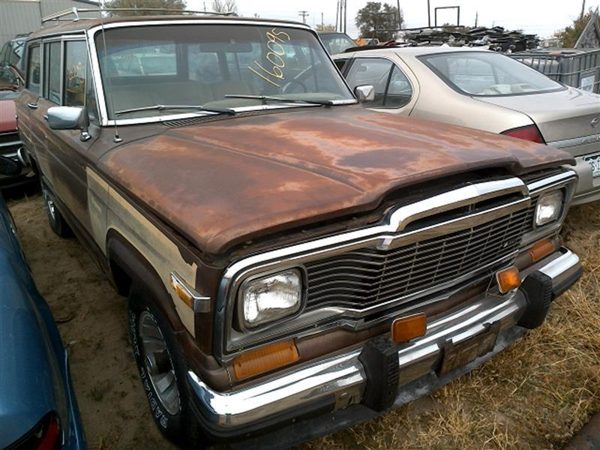 1981 Jeep Wagoneer — vehicle photo 3