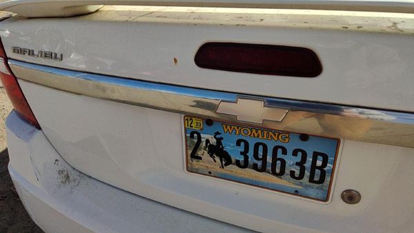 2005 New Style Malibu License Plate Trim Surround Panel Tail Trunk Finish Chrome — photo 4