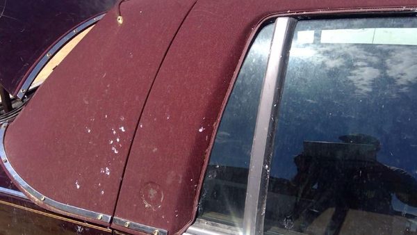 93 Cadillac Fleetwood Passenger Right Rear Vent Window Back Door Glass Wh Frame — photo 9