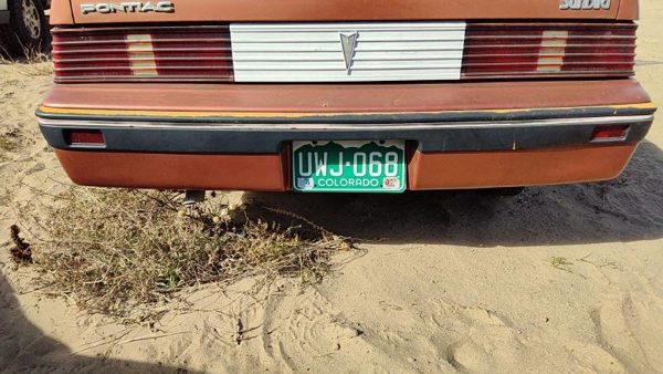 1985-1987 Pontiac Sunbird Rear Bumper Cover Assembly Oem Back Brown 10026826 — photo 1