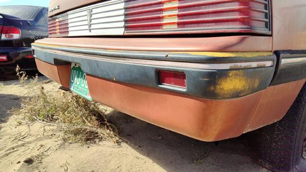 1985-1987 Pontiac Sunbird Rear Bumper Cover Assembly Oem Back Brown 10026826 — photo 2