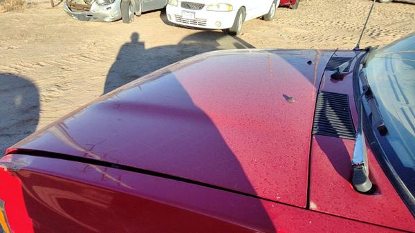 1997 Nissan Pickup Hood Red 6510055G31 — photo 3
