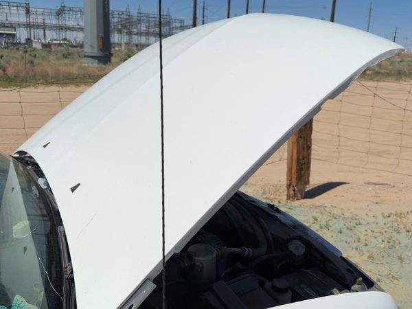 2001 Chevrolet S10 Hood White 50U — photo 1